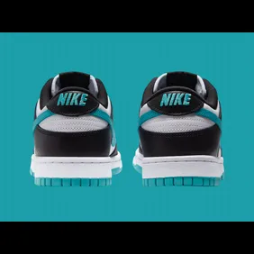 Nike-Dunk-Low-Dusty-Cactus-DV0833-109-4