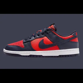 Nike-Dunk-Low-CO-JP-City-Attack-2024-DV0833-601-1